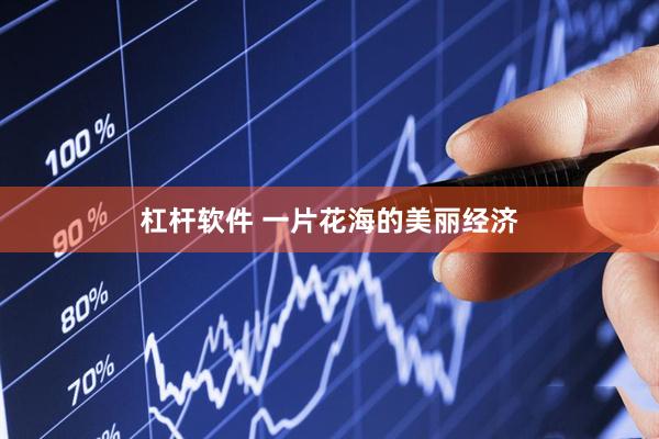 杠杆软件 一片花海的美丽经济