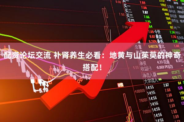 配资论坛交流 补肾养生必看：地黄与山茱萸的神奇搭配！